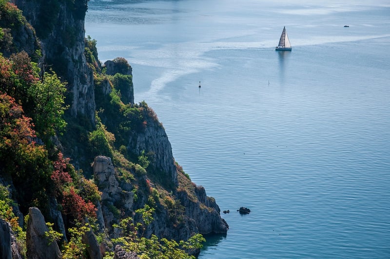 Sailing Adventures